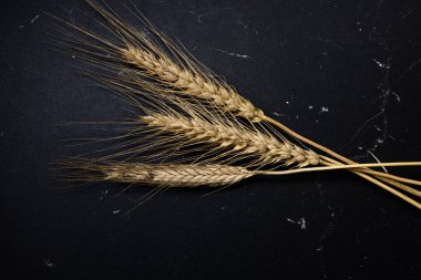 Buğday detayı. Fırın için mısır gevreği, un üretimi