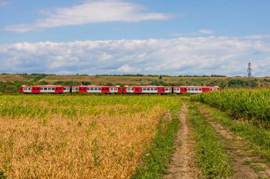 Romanya 'nın kırsal kesiminde bir tren geçiyor. Arazi, Romanya 'nın tipik kırsal kesimlerine özgü buğday ve mısır tarlalarından oluşuyor.