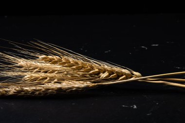 Buğday detayı. Fırın için mısır gevreği, un üretimi