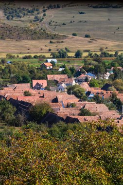Romanya 'da bitki örtüsü, tarlaları ve evleri olan bir kırsal alan manzarası.