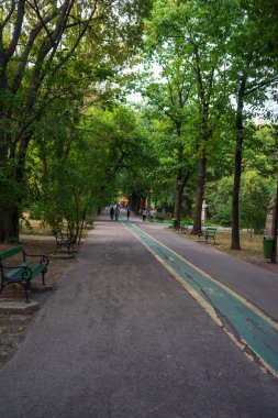 Bükreş şehir merkezindeki parktaki eski yeşil ağaçların manzarası