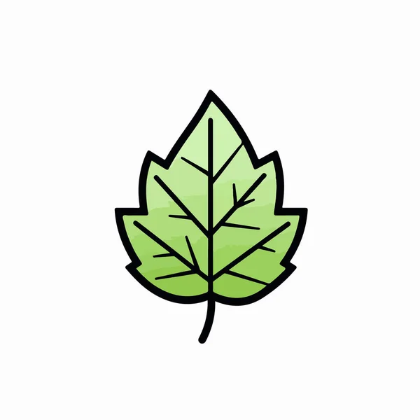 Icône Feuille Plante Biologique Naturelle Thème Nature Conception Isolée Illustration — Image vectorielle