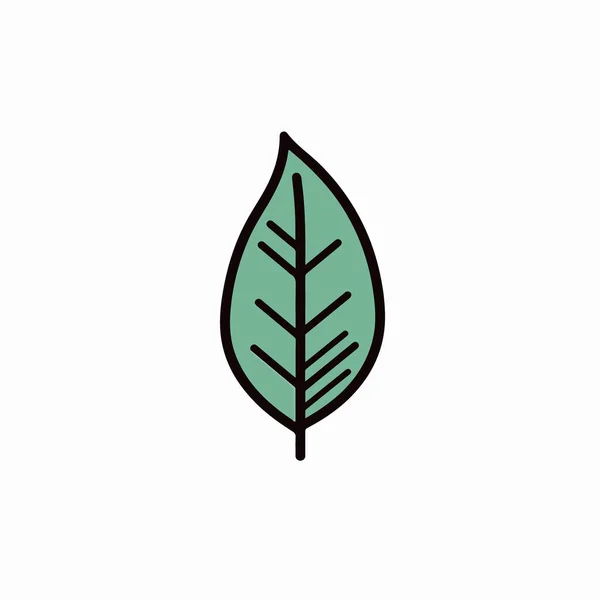 나뭇잎 식물의 고립된 아이콘 — 스톡 벡터