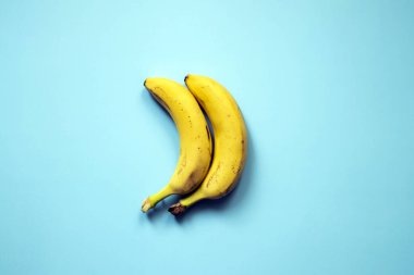 LGBT aşk konsepti, yakın plan, iki muz yan yana uzanıyor, erkek aşkının sembolü..