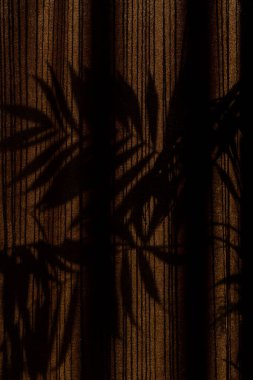Palm tree shadows on drapes during golden hours