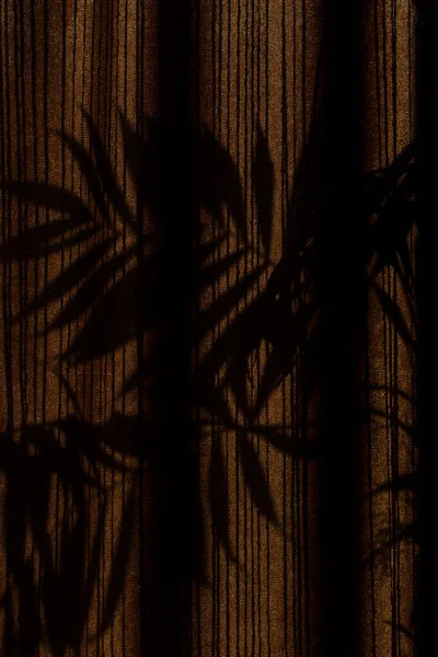 Palm tree shadows on drapes during golden hours