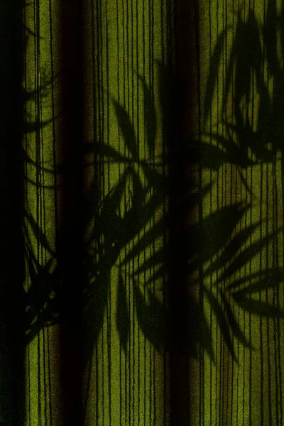 Palm tree shadows on drapes during golden hours