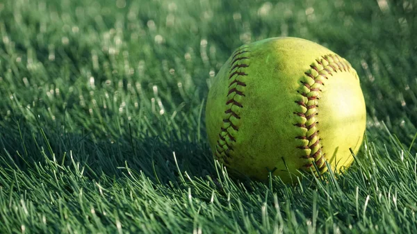 Spelet Används Softball Sitter Gräset Med Gyllene Timme Ljus — Stockfoto