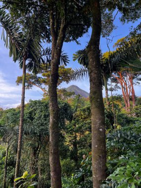 Sabahleyin Kosta Rika 'nın Alajuela ilindeki Arenal volkanının zirvesine bakın.