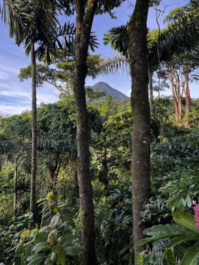 Sabahleyin Kosta Rika 'nın Alajuela ilindeki Arenal volkanının zirvesine bakın.