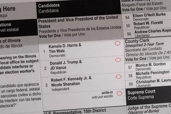 2024 ABD başkanlık seçimleri için e-posta oylaması.