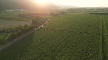 Kırsal bir yol boyunca bir uçuş ve öğleden sonra güzel yeşil alanlar. Yüksek kaliteli FullHD görüntüler