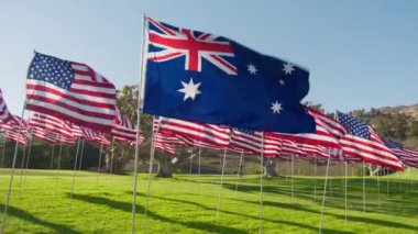RED camera high quality footage flag of Australia waving on wind on golden sunset background, many flags of United States of America behind. Concept of international tourism travel business economy