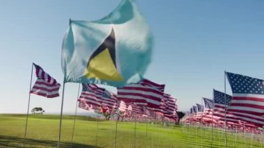 RED camera high quality footage flag of Saint Lucia waving on wind on golden sunset background, many flags of United States of America behind. Concept of international tourism, travel business economy