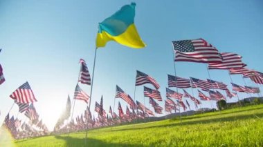 Concept of international business economy, lend-lease support. RED camera high quality footage flag of Ukraine waving on wind on golden sunset background, many flags of United States of America behind