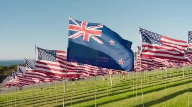 RED camera high quality footage flag of New Zealand waving on wind on golden sunset background, many flags of United States of America behind. Concept of international tourism travel business economy