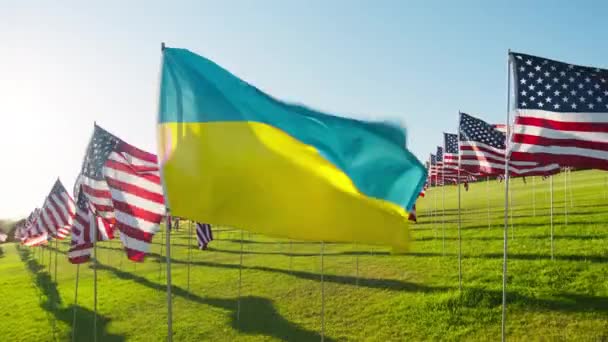 Красная Камера Высокого Качества Снимает Флаг Украины Машущий Ветру Золотом — стоковое видео