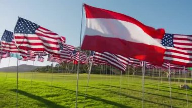 Flag of Austria waving in wind with many American flags on motion background, golden sunset hour with sun flare. National Austrian flag visualizing independence, freedom, economy partnership business