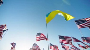 Flag of Ukraine waving in wind with many American flags on motion circling background on blue clear sky with sun flare. National Ukrainian flag surrounded by US flags visualizing support and freedom