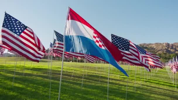 Flag Netherlands Waving Wind Many American Flags Motion Background Golden — Stockvideo