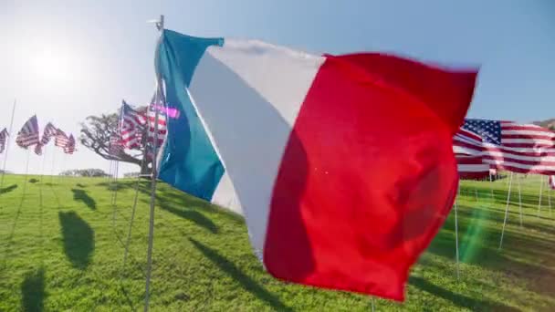 Флаг Франции Размахивающий Ветром Многими Американскими Флагами Фоне Движения Золотом — стоковое видео