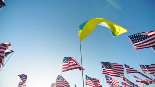 Прапор України Розмахує Вітром Багатьма Американськими Прапорами Фоні Синього Ясного — стокове відео