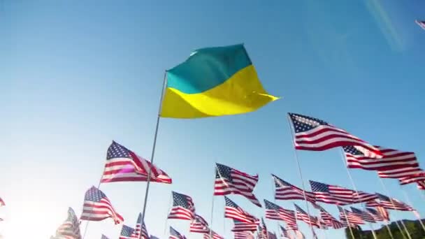 National Ukrainian Flag Surrounded Flags Visualizing Support Freedom Flag Ukraine — Vídeos de Stock