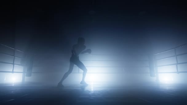 アクティブ 女性ボクサーパンチングと空気中でキックのクローズアップショット ボクシングクラブで一人で集中トレーニングをしている未認識の少女 高品質4K映像冷たい青紫銀霧バックライト — ストック動画