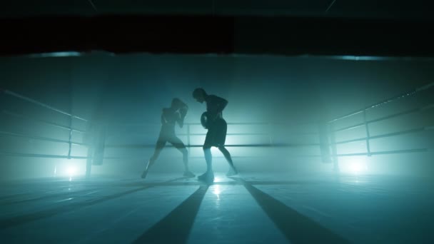Man Training Female Boxer Improve Her Body Strength Endurance Close — Stock video