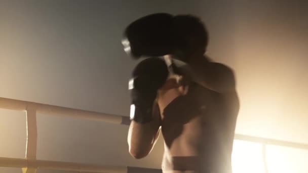 Портрет Гарного Здорового Боксера Прогрівається Інтенсивного Жорсткого Спарингу Кільці Крупним — стокове відео
