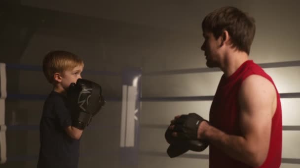 Close Young Adult Sparring Partners Looking Focused Motivated Portrait Skilled — Video Stock