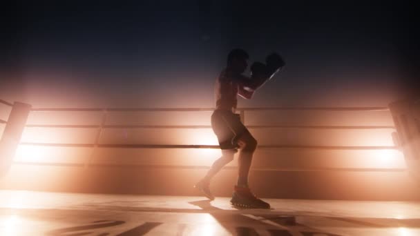 Портрет Спортсмена Боксёрских Перчатках Тренирующего Свою Атаку Ринге Крупный План — стоковое видео