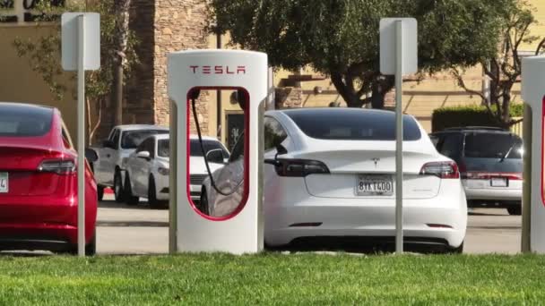 Feb 2023 Los Angeles Usa High End Vehicles Charging Supercharger — Stockvideo
