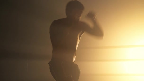 仕事をしながらカロリーを燃焼若い 原因となる男のクローズアップビューが体重を減らすために リングの中で暖まる無気力な胴を持つプロボクサーの肖像画 高品質4K映像 — ストック動画