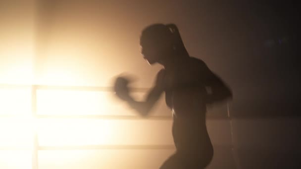 Portrait Skilled Professional Female Kickboxer Working Out Indoors Close View — Vídeos de Stock