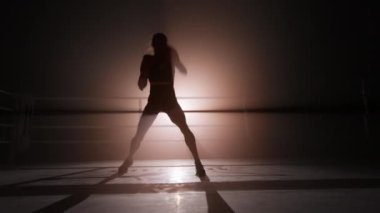 Portrait of a sportswoman exercising to improve her shape and build muscles. Close-up view of active woman combining strength training and cardio in a full-body workout. High quality 4k footage