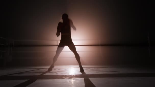 Portrait Sportswoman Exercising Improve Her Shape Build Muscles Close View — Videoclip de stoc