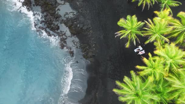 Yeşil Palmiye Ağaçlarının Yukarısındaki Antenleri Egzotik Siyah Volkanik Kum Plajları — Stok video