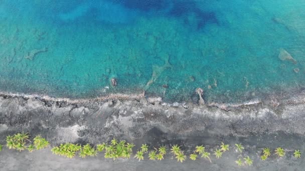 在无人居住的黑色熔岩岩石海滩和透明的蓝色海洋上俯瞰的场景 上面是清澈的蓝色海水和珊瑚礁 夏威夷大岛美丽的绿色棕榈树顶上排列着奇异的线条 — 图库视频影像