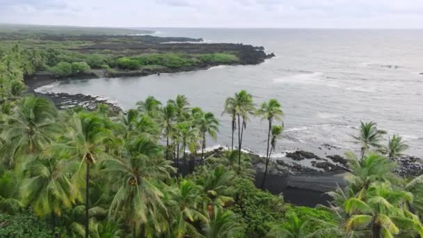 Big Island Hawaii Exotische Vulkanische Schwarze Lavastrand Landschaft Drohnen Fliegen — Stockvideo