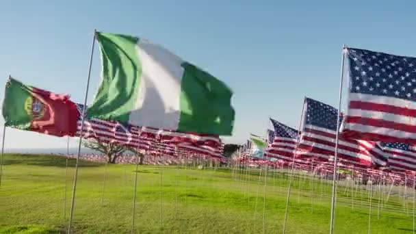 ナイジェリアの旗は 太陽のフレアと黄金の日没の動きの背景に多くのアメリカの旗とともに風に振っています 独立性 金融経済 ビジネスパートナーシップを可視化するナイジェリア国旗 — ストック動画