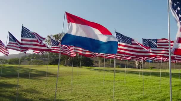 Флаг Нидерландов Машущий Ветром Американские Флаги Фоне Движения Золотом Закате — стоковое видео