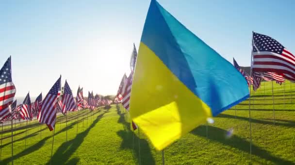 Bandera Nacional Ucraniana Que Visualiza Independencia Economía Financiera Asociación Empresarial — Vídeos de Stock