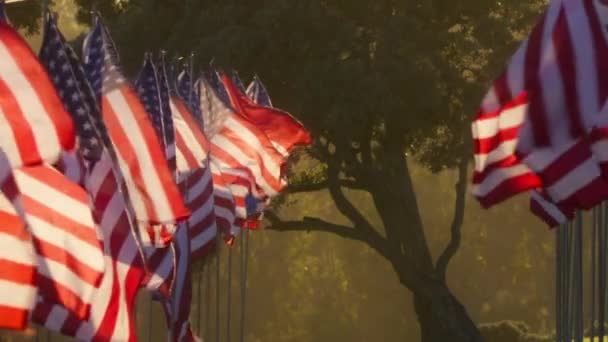Видеозапись Красной Камеры Американскими Флагами Дующими Ветру Солнечном Фоне Флаги — стоковое видео