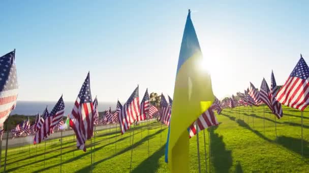 在金色落日和太阳耀斑的映衬下 乌克兰国旗与许多美国国旗在风中飘扬 展示独立 金融经济 商业伙伴关系的乌克兰国旗 — 图库视频影像