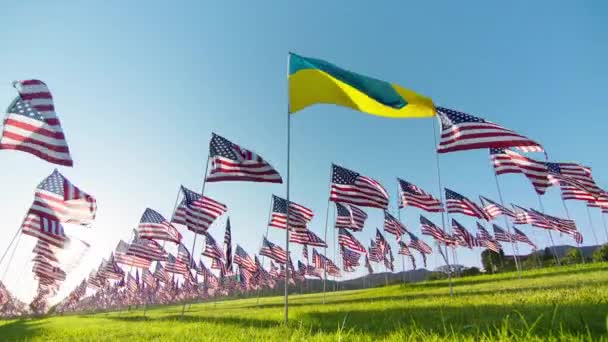 在金色落日和太阳耀斑的映衬下 乌克兰国旗在风中飘扬 许多美国国旗在美丽的背景下飘扬 乌克兰国旗独立 金融经济迅速复苏 停止乌克兰战争的概念 — 图库视频影像