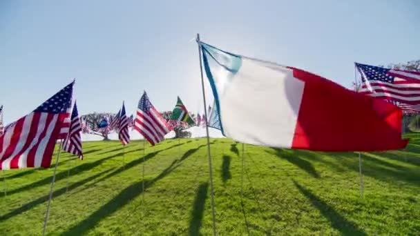 Flag France Waving Wind Many American Flags Motion Background Golden — Stock Video
