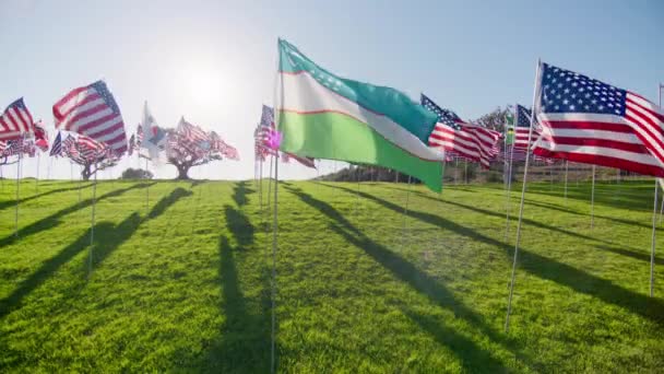 乌兹别克斯坦国旗在风中飘扬 美国国旗在金色落日的背景上飘扬 闪烁着太阳的光芒 国家乌兹别克斯坦国旗 展示独立 金融经济 商业伙伴关系 — 图库视频影像