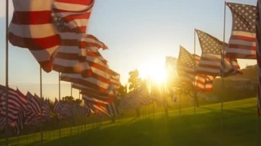 ABD bayrakları altın gün batımında. Amerika Birleşik Devletleri 'nin bayrak sallaması Ulusal Kutlama konsepti ağır çekim için, RED. Mavi güneşli arka planda rüzgarda dalgalanan yüzlerce Amerikan Bayrağı