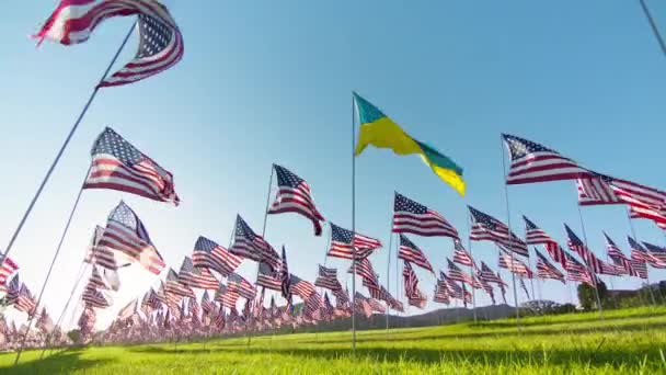 Usa Support Ukraine Aggressive War Russia Flag Ukraine Waving Wind — Stock Video